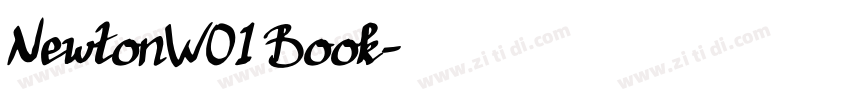 NewtonW01 Book字体转换